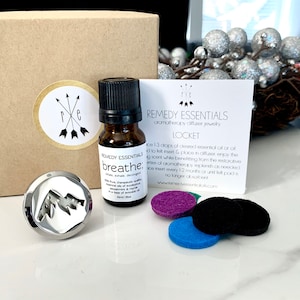 Gift Set - Vehicle Vent Clip, Essential Oil Blend & Pads - Stainless Steel Car Vent Diffuser - Aromatherapy Vehicle Air Freshener