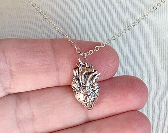 Sterling Silver Anatomical Heart Necklace: Realistic Cardiac Pendant, Doctor, Nurse Gift
