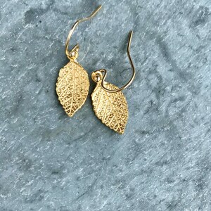 May include: A pair of gold leaf earrings with a delicate design. The earrings are made of metal and have a simple, elegant style.