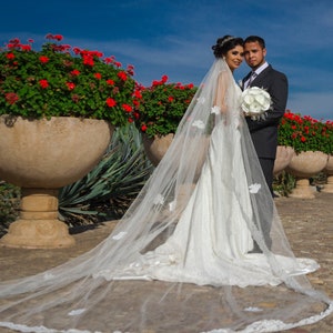 Lace Wedding Veil, Partially Laced