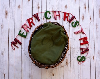 Newborn Christmas Digital Backdrop