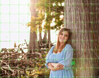 Photography Grid Watermarks for Photographers Ai removal prevention logo watermark