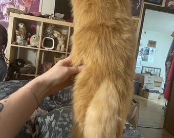 Cola de fursuit de hurón, nutria y suricata color caramelo y beige