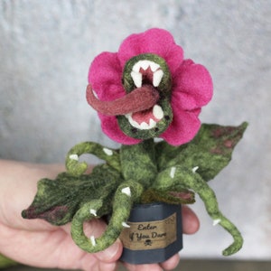 Killer Carnivorous Plant, Halloween Garden, Horror, Spooky Plant Decor, creepy monsters, goth garden