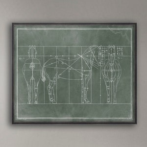 Vintage Horse Anatomy Art Print: Fairway Green Equine Sketch