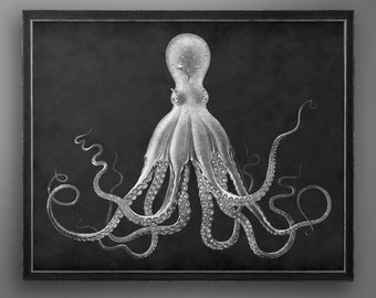 Octopus Print - Vintage Fine Art - Octopus Art - Octopus Picture - Ocean Print - Beach Decor - Nautical Print - Kraken Print - Circa 1800s