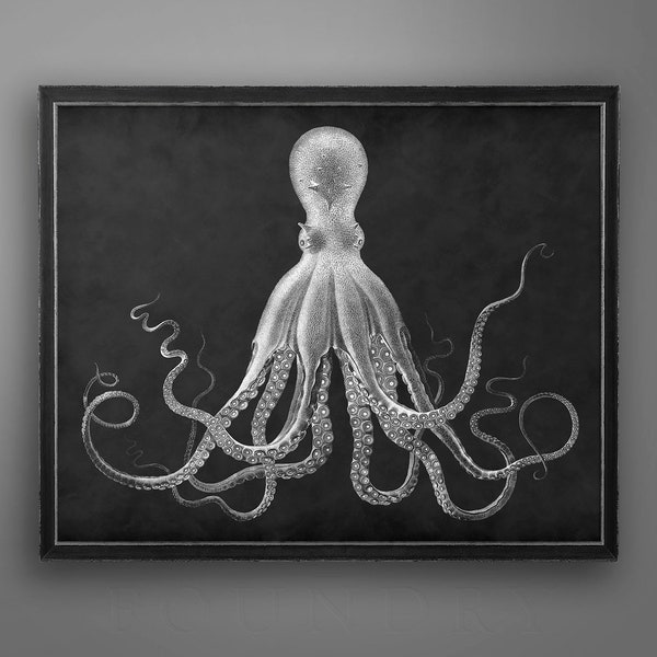 Octopus Print - Vintage Fine Art - Octopus Art - Octopus Picture - Ocean Print - Beach Decor - Nautical Print - Kraken Print - Circa 1800s