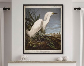 Audubon Snowy Heron Print: Vintage White Egret Bird Art