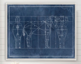 Fine Art Prints