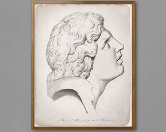 GREEK SCULPTURE DRAWING Print #3, 18th C. Engraving of Ancient Greek Statue Illustration - Traditional Art - Greek God Statue - Statue Print