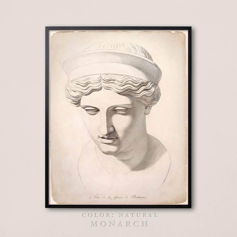 May include: A framed print featuring a detailed grayscale illustration of a classical bust. The artwork depicts a woman with a serene expression, wearing a head covering. The print has a natural color and is labeled "T&ecirc;te de la Junon de Barberini".