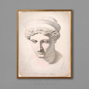 May include: A framed print featuring a detailed grayscale illustration of a classical bust. The artwork depicts a woman's head and shoulders, with a serene expression and a head covering. The frame is a natural wood color, and the print includes the text "COLOR: NATURAL" and "MONARCH".