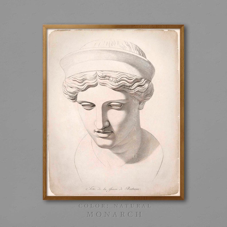 May include: A framed print featuring a detailed grayscale illustration of a classical bust. The artwork depicts a woman's head and shoulders, with a serene expression and a head covering. The frame is a natural wood color, and the print includes the text "COLOR: NATURAL" and "MONARCH".