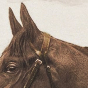 LORD DENVER THOROUGHBRED Print Vintage Sepia 1928 Royal Ascot Horse Print Vintage Equestrian Vintage Horse Tradition Horse Art image 4