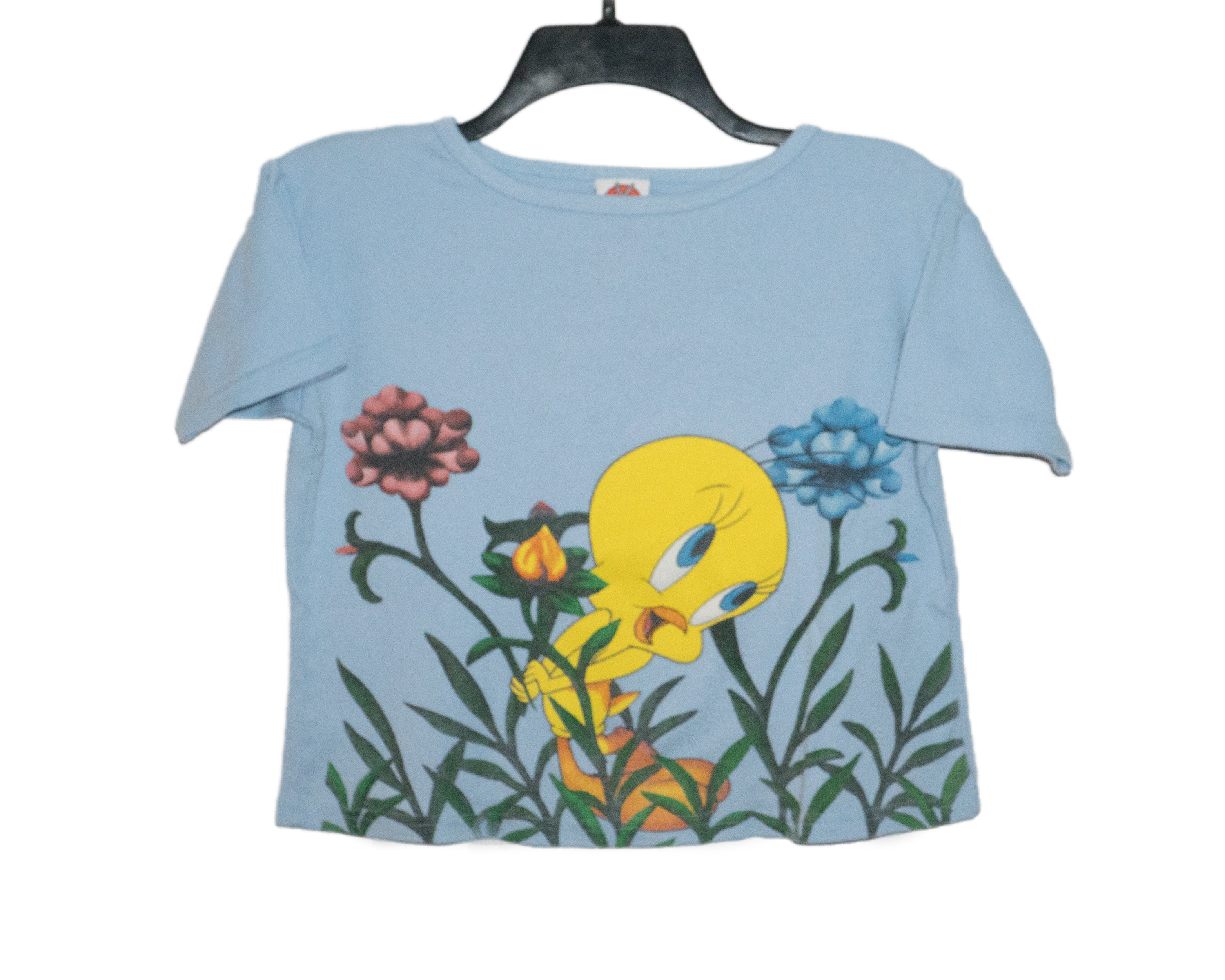 Vintage Tweety Bird in Flowers Looney Tunes Freeze 1998 Periwinkle 
