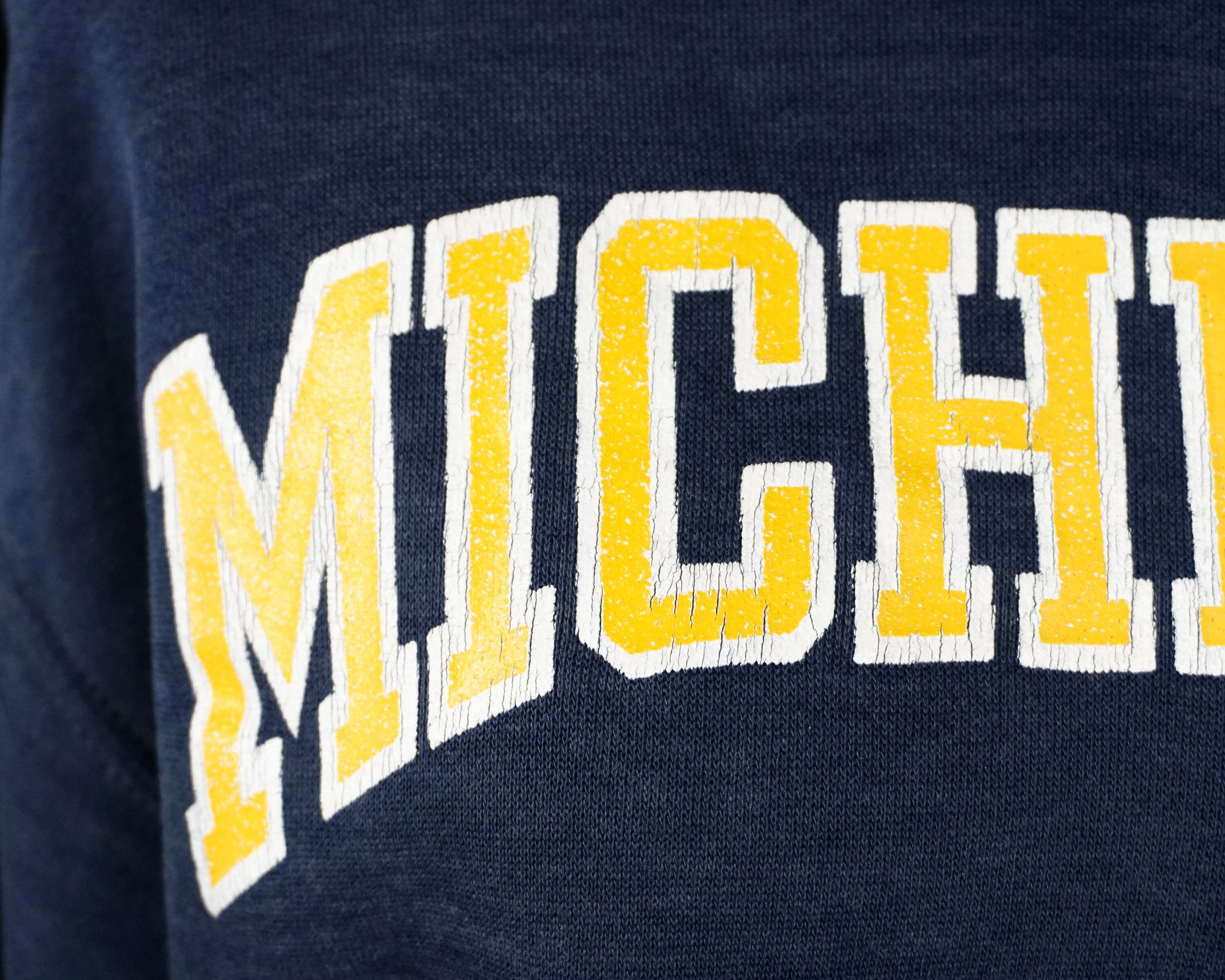 Vintage University of Michigan Wolverines Russell Athletic Hooded 