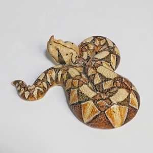 Figura de serpiente hecha a mano “Víbora de Gabón”, modelo de resina.