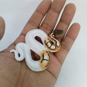 May include: A hand-painted, miniature snake figurine. The snake is white with tan and brown markings, and a brown head. The figurine is curled in a serpentine shape, and is resting in the palm of a hand.