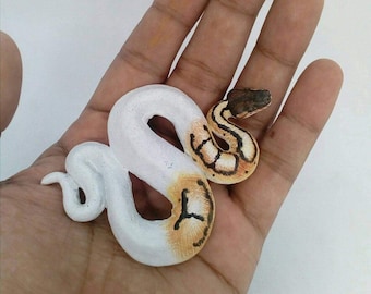 Ball python "Pieblad" hanmade painting figure and mini box pet.