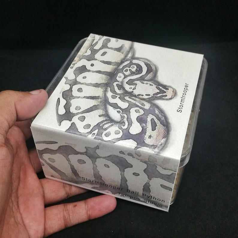 May include: A clear plastic container with a decorative box featuring a watercolor illustration of a Stormtrooper Ball Python. The box has a white and gray pattern, with the text "Stormtrooper Ball Python" and "Tumpos Studio".