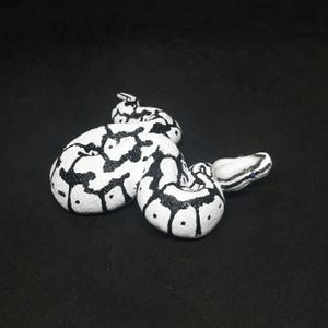 May include: A white and black decorative snake figurine. The snake is coiled and features a pattern of black markings on a white base. The head is detailed with black stripes and small blue accents. The figurine is set against a black background.
