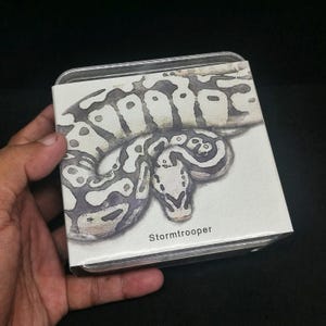 May include: A square, metal tin with a watercolor illustration of a ball python. The snake is white and gray with dark gray markings. The text "Stormtrooper" is printed in white on the bottom right corner of the tin.