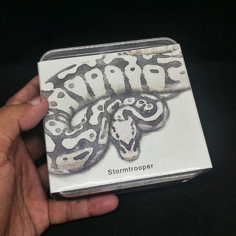 May include: A square, metal tin with a watercolor illustration of a ball python. The snake is white and gray with dark gray markings. The text "Stormtrooper" is printed in white on the bottom right corner of the tin.