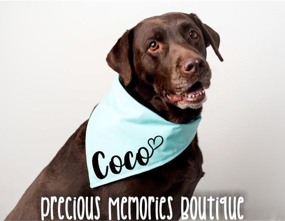 personalized dog bandana collar