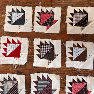 May include: Nine square fabric quilt blocks arranged in a grid, each featuring a bear's paw pattern. The blocks are constructed from various cotton fabrics in shades of red, black, brown, and white, with raw, unfinished edges and visible seams.