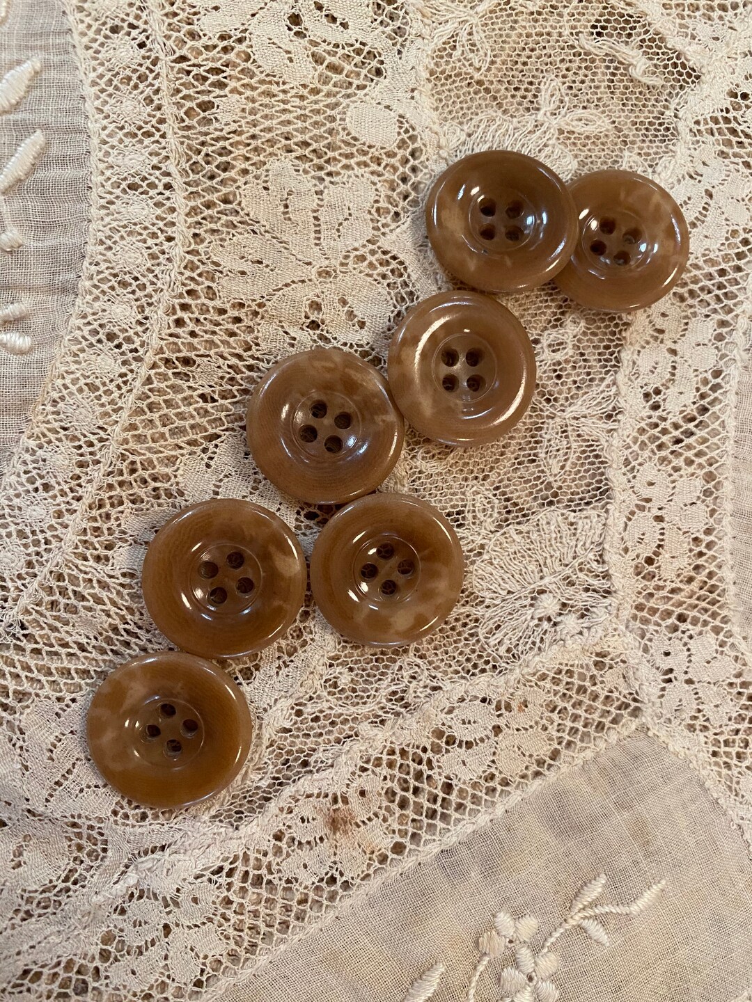 Set of 7 Vegetable Ivory Buttons. Tagua Nut. Utilitarian. Good Looking ...