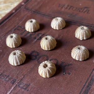 May include: Eight beige and white woven buttons with a raised centre. The buttons are arranged in a circle on a brown leather surface.