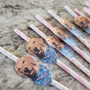 Custom Face Straws, Bachelorette Part , Personalized Photo 12 count paper straws image 6