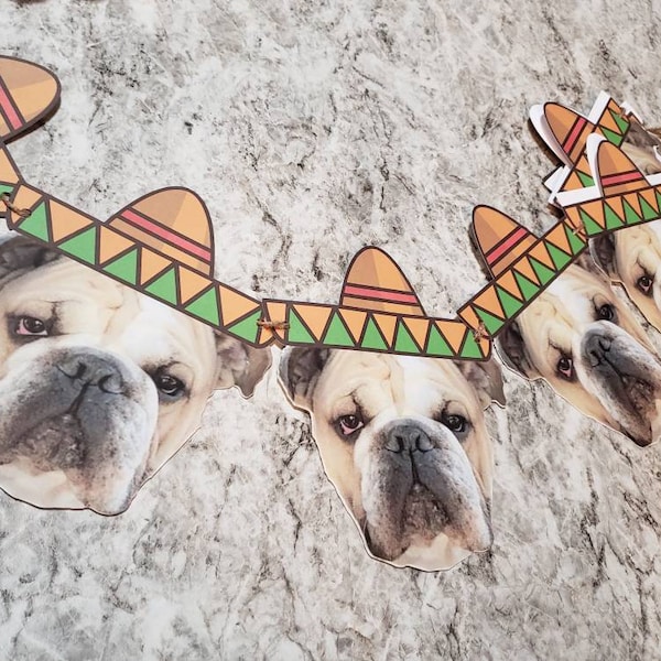 Dog Bridal Shower Etsy