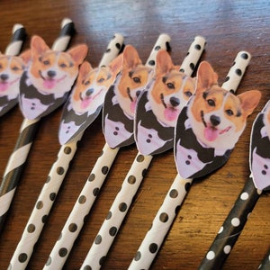 Custom Face Straws,  Bachelorette Part , Personalized Photo 12 count paper straws