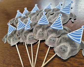 Birthday pawty, dog birthday, 12 count Custom face cupcake toppers, first birthday, pet party, 21st,30th,50th, bachelorette, dog decorations