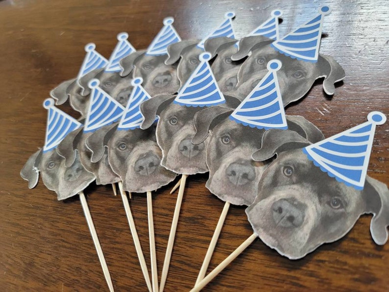 Custom face cupcake toppers, first birthday, 21st,30th,50th, bachelorette, dog decorations, Personalized Photo 12 count, pet cupcake toppers image 9