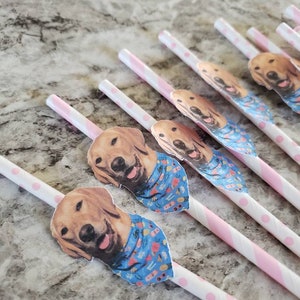 Custom pet Straws,  dog decorations, Personalized Photo 12 count paper straws, pet paper straws, pet birthday, dog birthday. Cat decorations