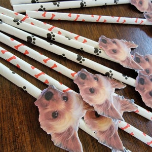 Custom Face Straws,  Bachelorette Part , Personalized Photo 12 count paper straws