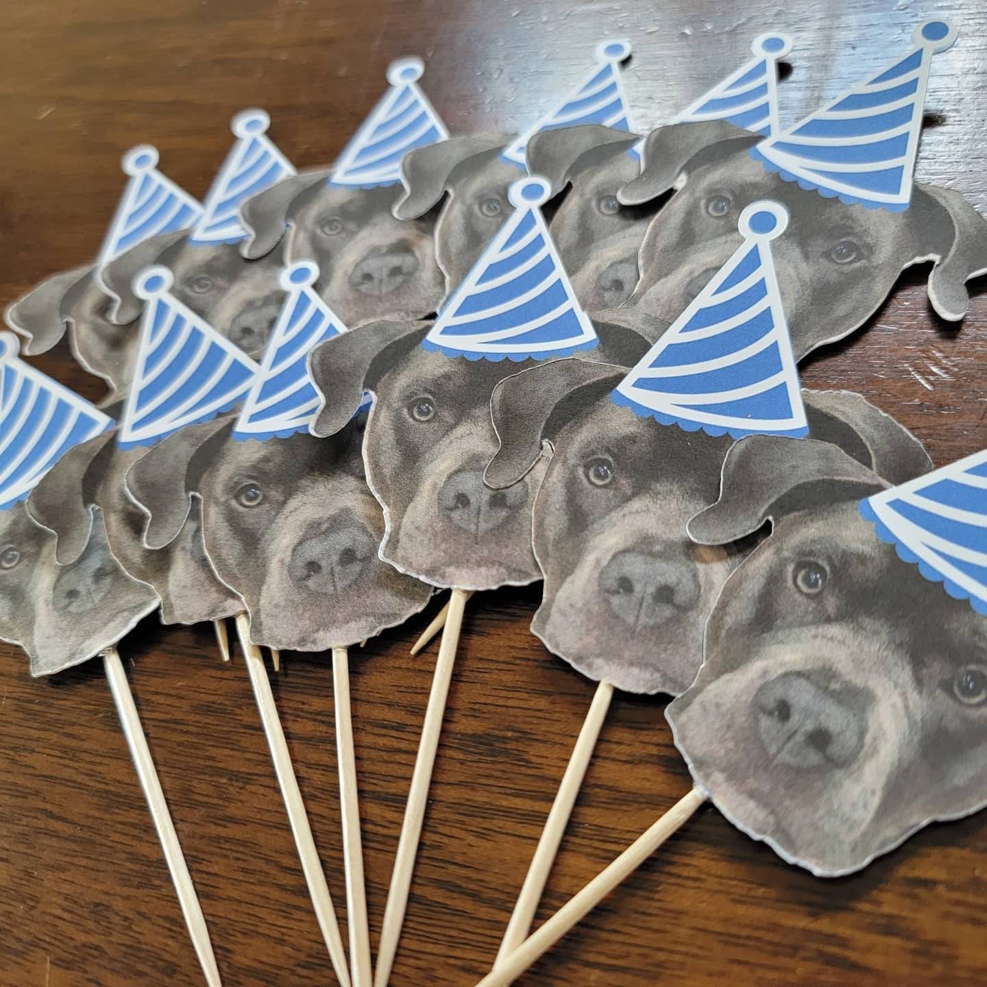 Custom pet cupcake toppers, first birthday, 21st,30th,50th, bachelorette, dog decorations, Personalized Photo 12 count, pet cupcake toppers