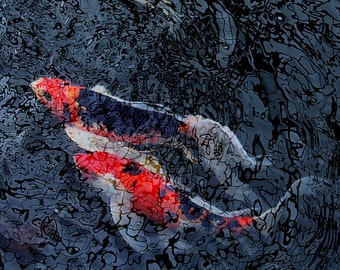 Koi reflections mosiac