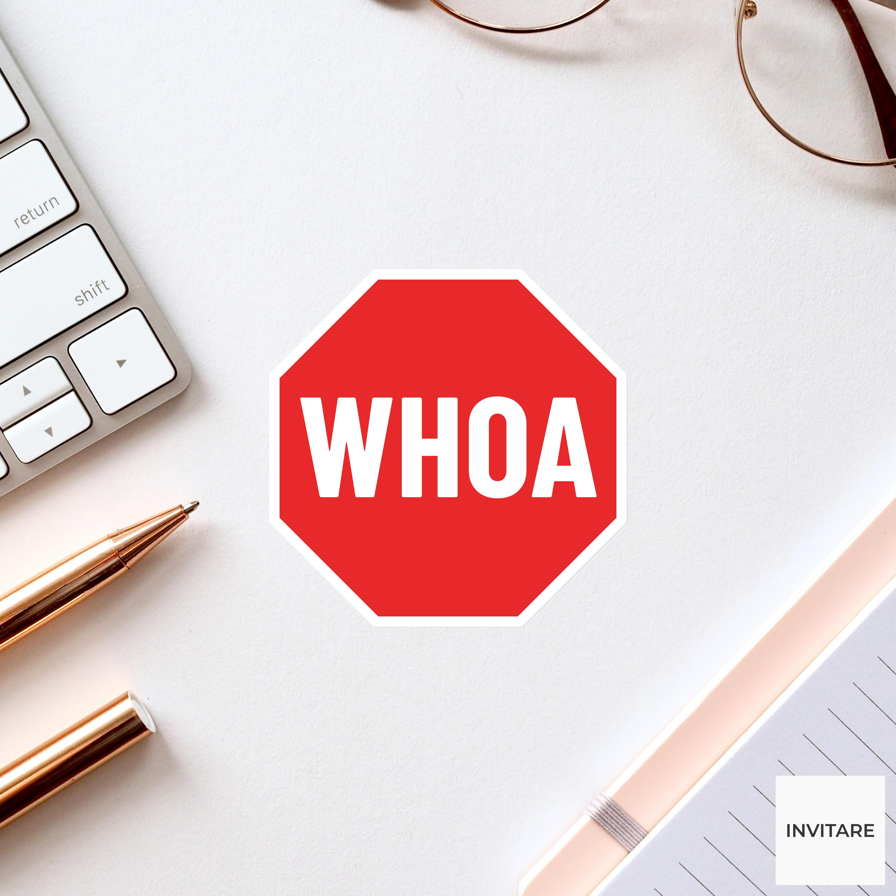 Whoa Sticker Funny WHOA Stop Sign Irony Vinyl Sticker for Laptop Gift for Friends ...