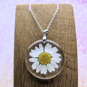 Real dried flower daisy pendant necklace.