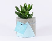Mini pot plant concrete - paint dreamy blue - handmade / Small