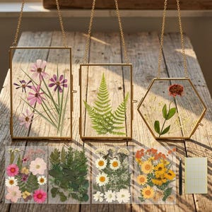 May include: Three hanging glass frames with gold metal edges, including two rectangular and one hexagonal frame. The frames contain pressed pink flowers, a green fern, and a red flower. Four sheets of pressed flowers and a black tool are included.