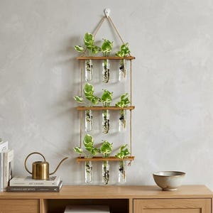 May include: A wall-mounted plant holder with three wooden shelves suspended by rope. Each shelf holds clear glass vials with green and white leafy plants. The holder is hung against a light gray wall, creating a modern, minimalist aesthetic.