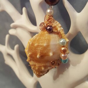 Seashell Christmas Ornament Pearl Lustre