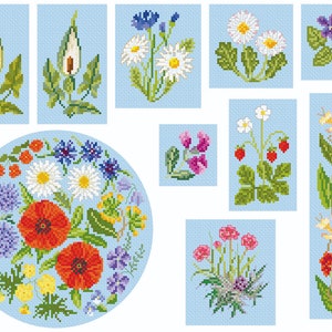 British Wildflowers Collection 1 Download
