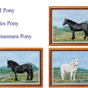 Wild Ponies in Wild Places - Set 3