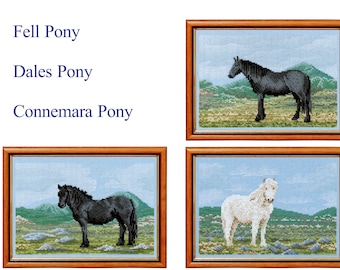 Wild Ponys in Wild Places - Set 3