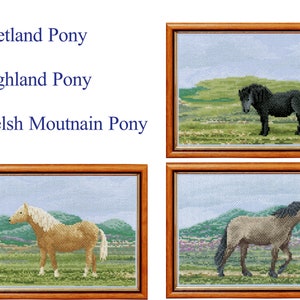 Wild Ponies in Wild Places - Set 2